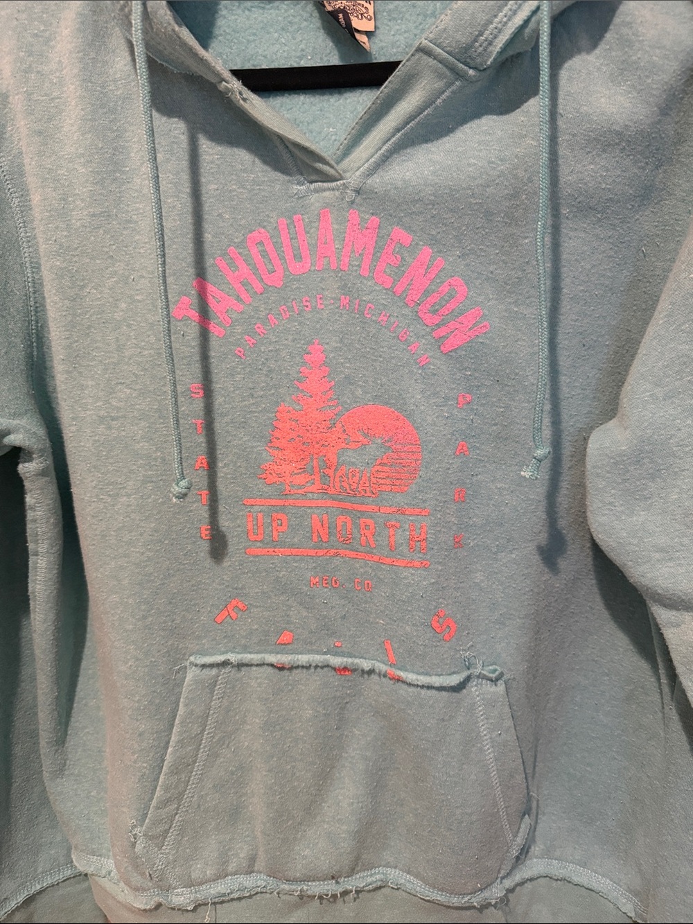 Salt creek - Up North Aqua Hooded Sweatshirt with Pink Graphic